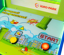 Аркадный видеоаппарат "Bird" IG74